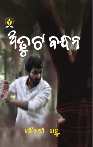 Published book cover